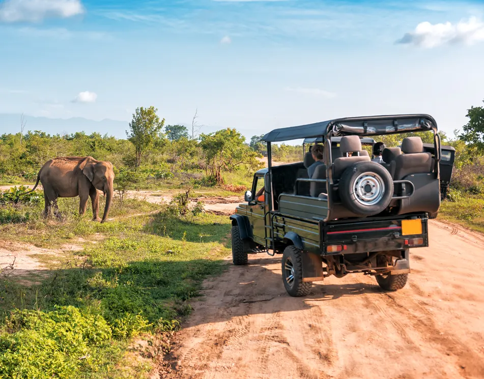 Voyage en Afrique